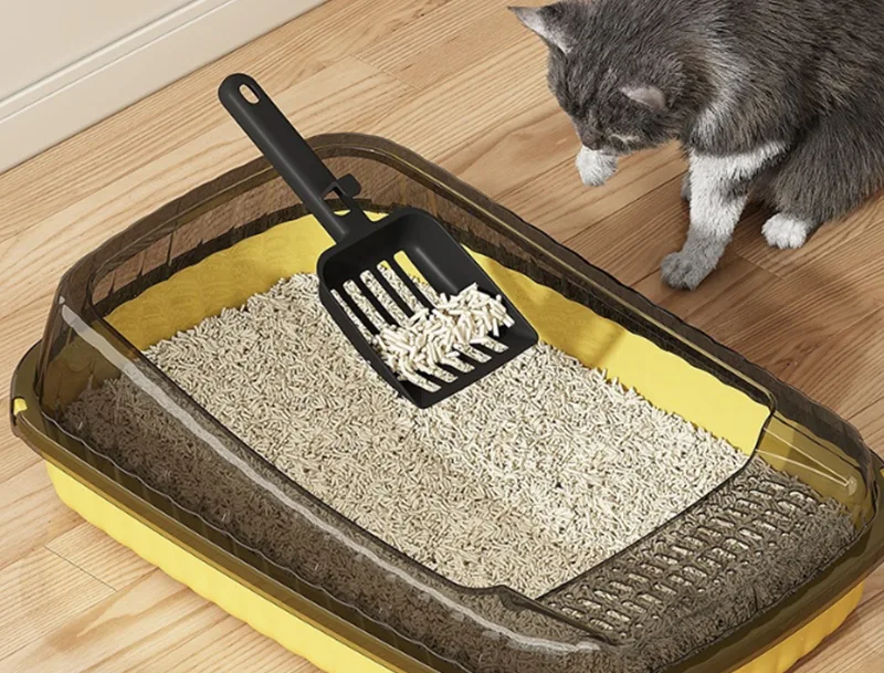 GRS PP 고양이 모래 상자는 고양이 주인의 가장 큰 불만을 해결할 수 있습니까?